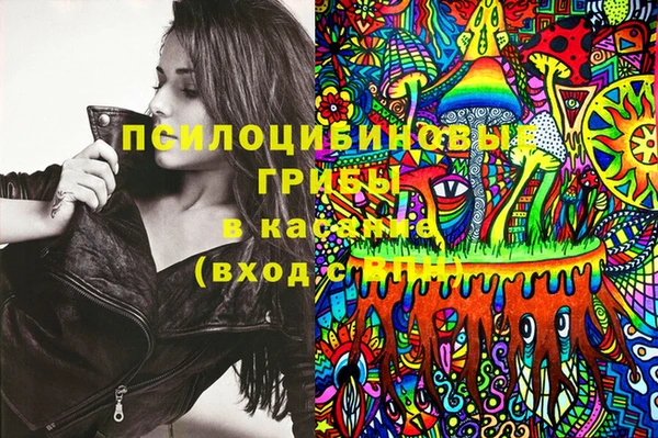 не бодяженный Алексин