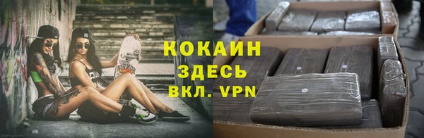 мяу мяу мука Алексеевка