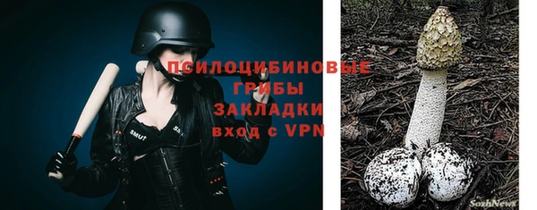 не бодяженный Алексин