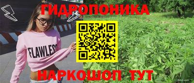 хмурый Гатчина