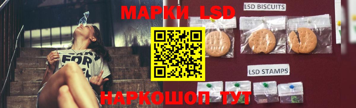 Гурьевск  Лсд 25 экстази кислота  Лсд 25 экстази ecstasy  Вход с VPN 