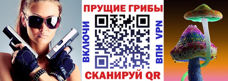 Псилоцибиновые грибы мицелий Гурьевск