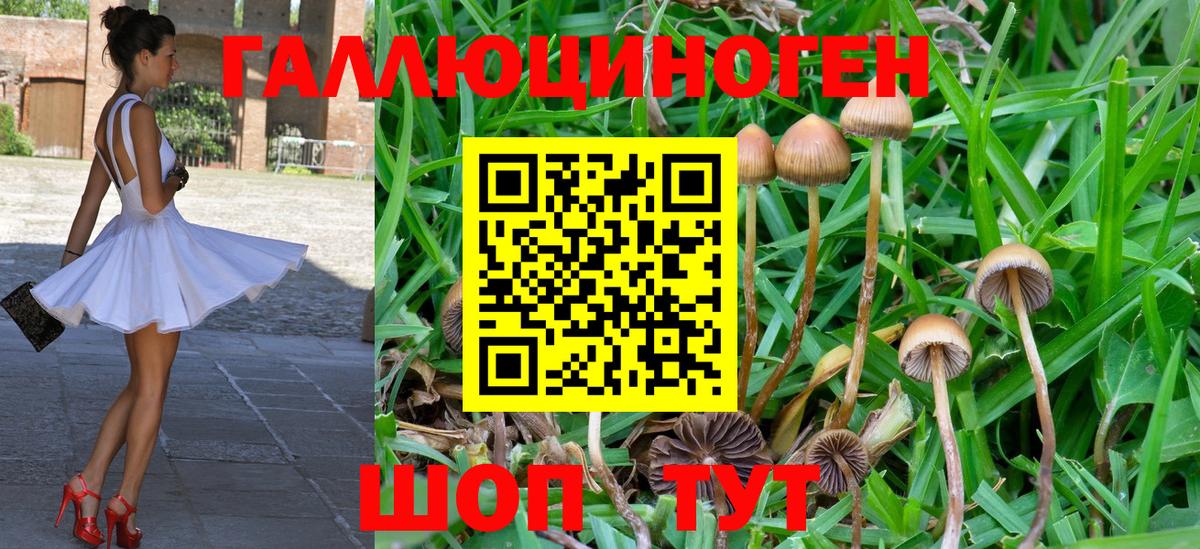 Галлюциногенные грибы MAGIC MUSHROOMS Гурьевск