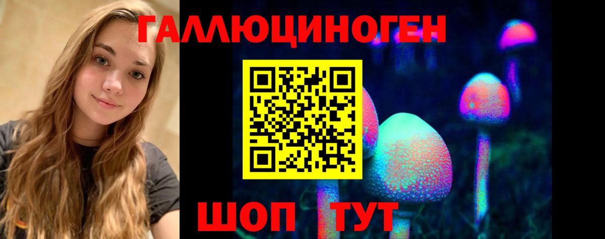 Гурьевск  Галлюциногенные грибы Magic Shrooms  Вход с VPN 